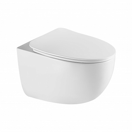 Подвесной унитаз безободковый Terminus Енисей Monolit 560х390 белый Прокопьевск - фото 2